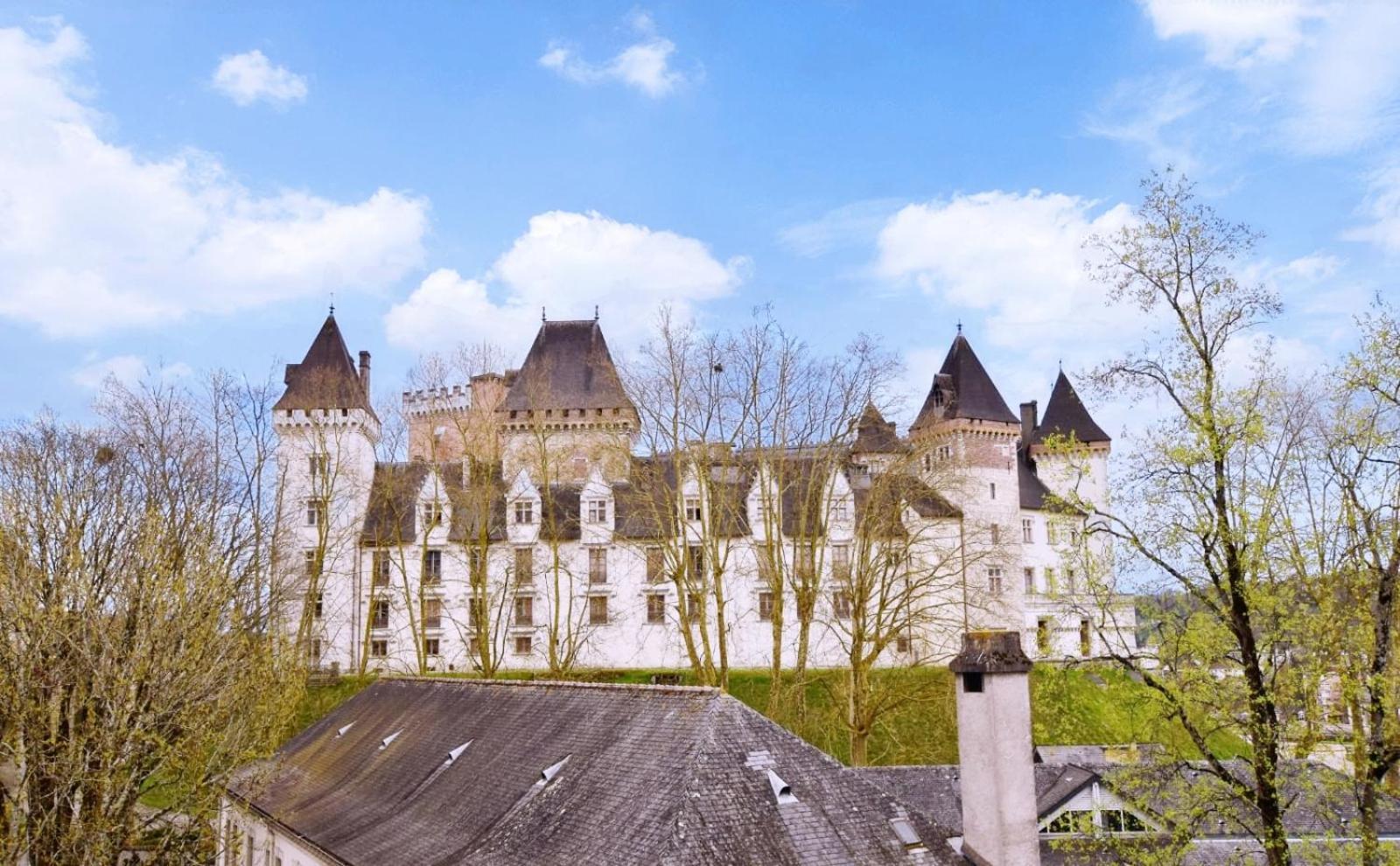 La Vue Royale - Face Au Chateau - Wifi - 4 Personnes Pau Buitenkant foto